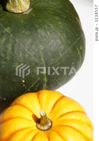 カボチャ（黒皮栗カボチャ）(黄皮栗カボチャ） 3238557