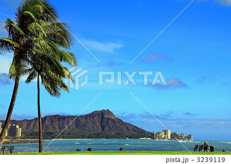 マジックアイランドよりヤシとダイヤモンドヘッド 3239119