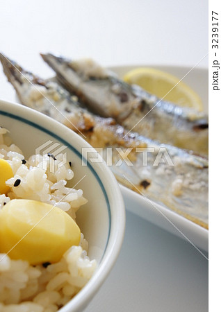 秋の味覚 3239177