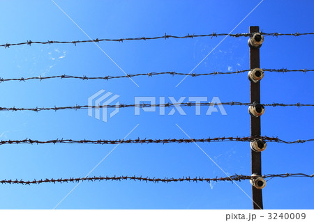 有刺鉄線 3240009