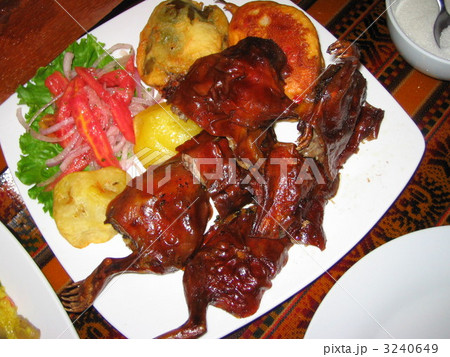 ペルー料理 クイ 3240649