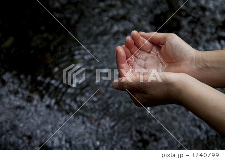 清流と手 3240799