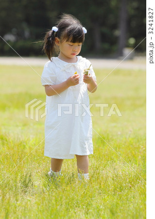 花を摘む白いワンピースの女の子 3241827