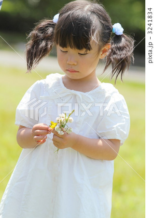 花を摘む白いワンピースの女の子 花を摘む白いワンピースの女の子 3241834