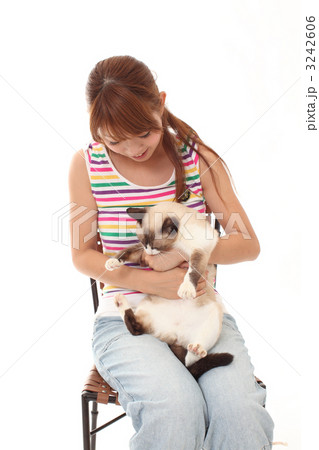 猫と女性 猫と女性 3242606