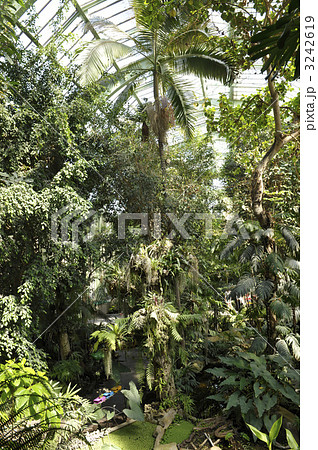 パリ植物園内大温室の内部の写真素材