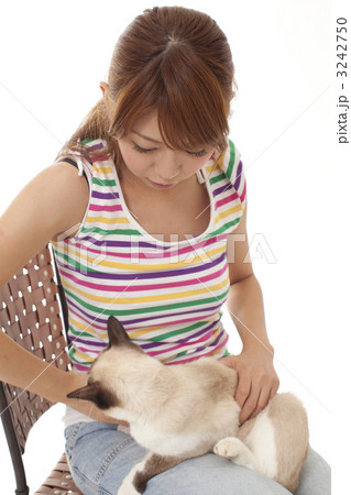 猫と女性 3242750