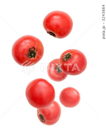 トマト 3243664
