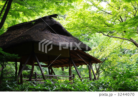 六義園のつつじ茶屋 六義園のつつじ茶屋 3244070