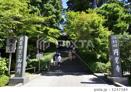 鎌倉　円覚寺 3247384