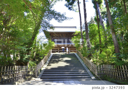 鎌倉 円覚寺 鎌倉 円覚寺 3247393