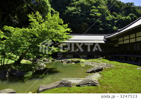 鎌倉　円覚寺　庭園 3247523