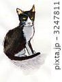ネコ 3247811