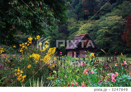 白川郷のわら屋 白川郷のわら屋 3247849