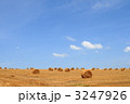 牧草ロール 3247926