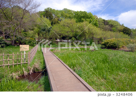 三鷹　大沢の里 3248406