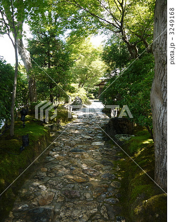 高台寺庭園 3249168