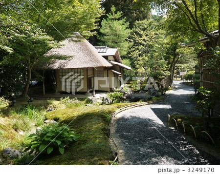 高台寺庭園 3249170