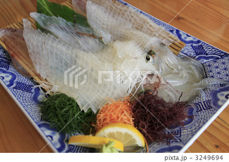 ヤリイカの活き造り ヤリイカの活き造り 3249694