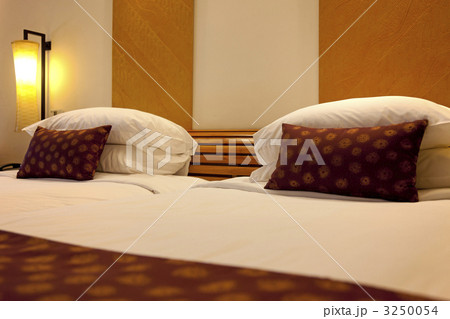 リゾートホテルのツインルーム リゾートホテルのツインルーム 3250054