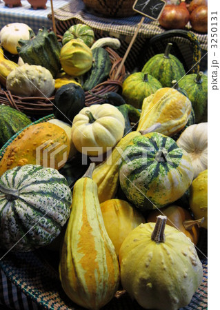 カボチャいろいろ 3250131