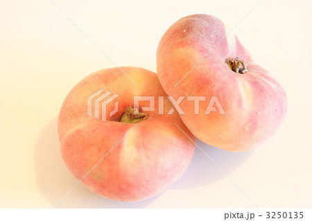 スペインの蟠桃 3250135