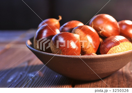 丹波栗 3250326