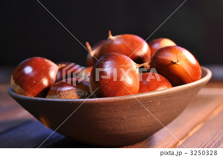 丹波栗 丹波栗 3250328