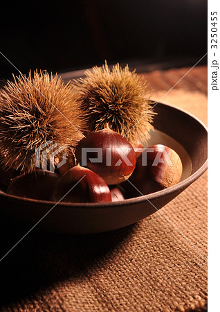 栗の実と毬 3250455