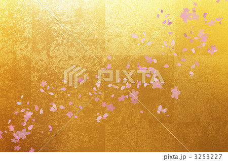 金屏風と桜 金屏風と桜 3253227