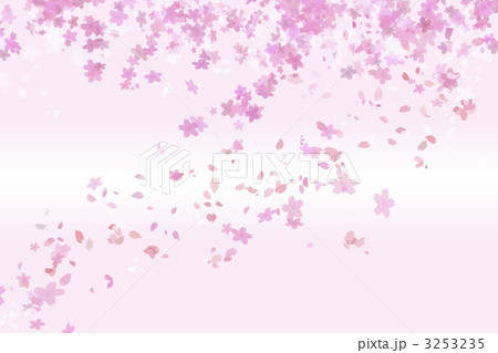 桜イメージ 3253235