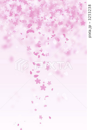 桜イメージ 桜イメージ 3253238