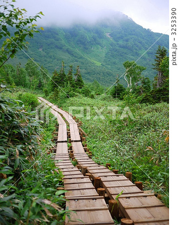霧の山中に伸びる木道 3253390