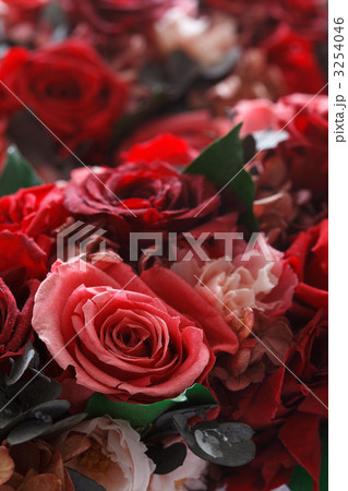 ブリザードの薔薇 3254046