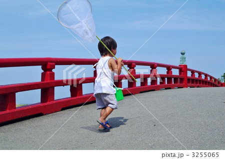 夏の子供 夏の子供 3255065