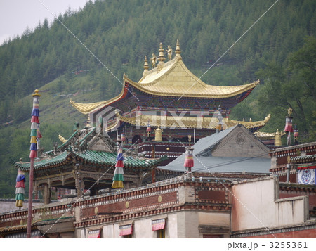 西寧 タール寺 西寧 タール寺 3255361