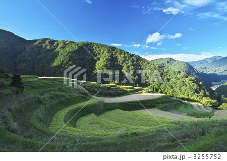 兵庫　西ヶ丘の棚田 3255752