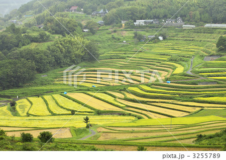 岡山 美咲町 大垪和西の棚田 岡山 美咲町 大垪和西の棚田 3255789