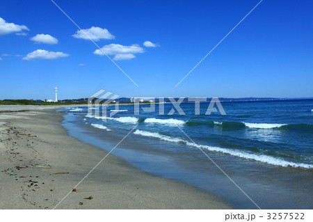 春の千倉海岸 3257522