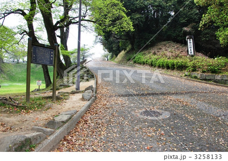 熊本城・棒庵坂 熊本城・棒庵坂 3258133