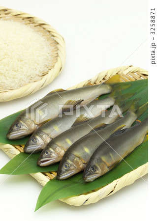 鮎飯の材料 鮎飯の材料 3258871