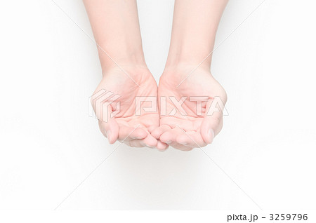 手ですくう 3259796