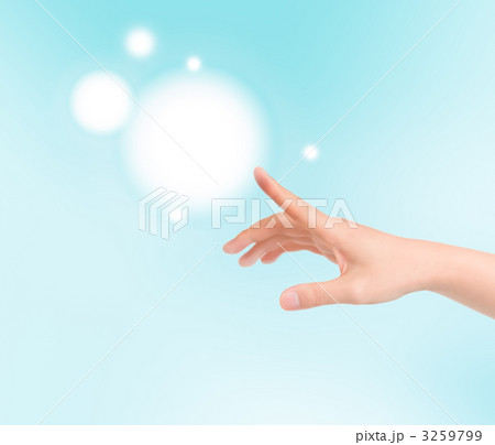 3259799