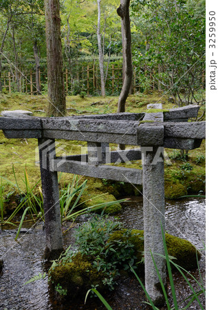 南禅寺大寧軒の三柱鳥居 南禅寺大寧軒の三柱鳥居 3259950