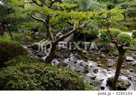 平安神宮の東神苑 平安神宮の東神苑 3260104