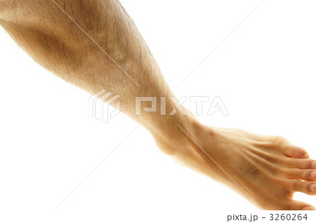 男のスネ毛 3260264