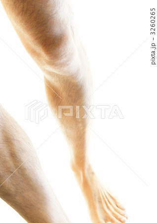 男のスネ毛 男のスネ毛 3260265