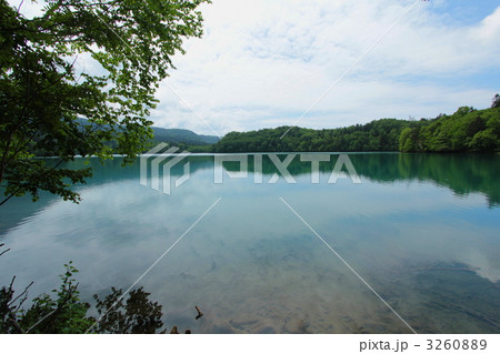 オンネトーの湖畔 3260889