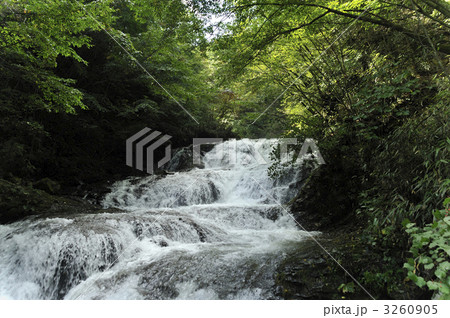 魚止の滝 魚止の滝 3260905