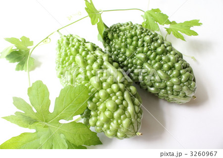 アバシゴーヤー アバシゴーヤー 3260967